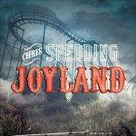 Joyland