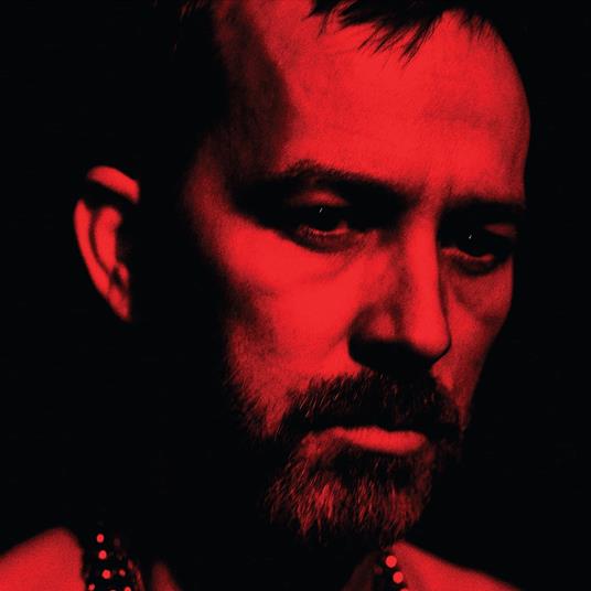 Social Animals - CD Audio di Duquette Johnston