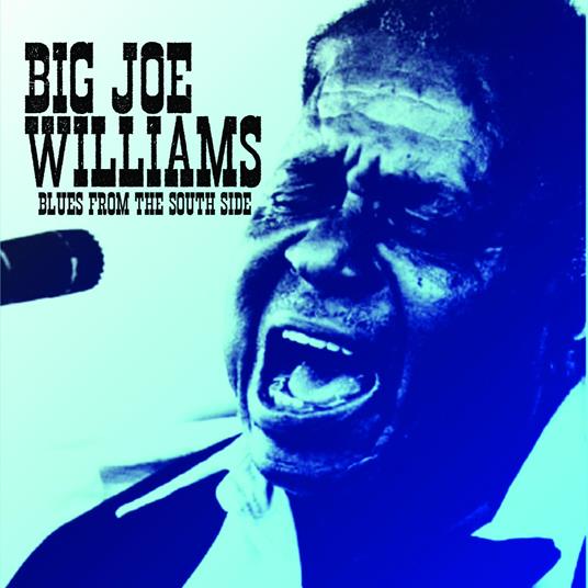Blues From The South Side - CD Audio di Big Joe Williams