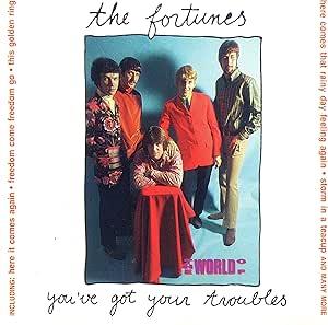 You'Ve Gotyour Troubles - CD Audio di Fortunes