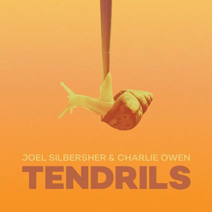 Tendrils - Vinile LP di Joel Silbersher