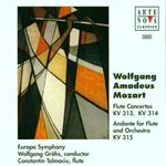 Flute Concertos