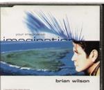 Brian Wilson - Your Imagination