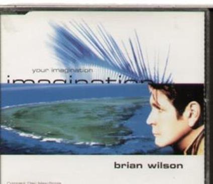 Brian Wilson - Your Imagination - CD Audio di Brian Wilson