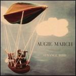Strange Bird - CD Audio di Augie March