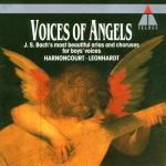 Voices of Angels