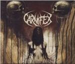 Until I Feel Nothing - CD Audio di Carnifex