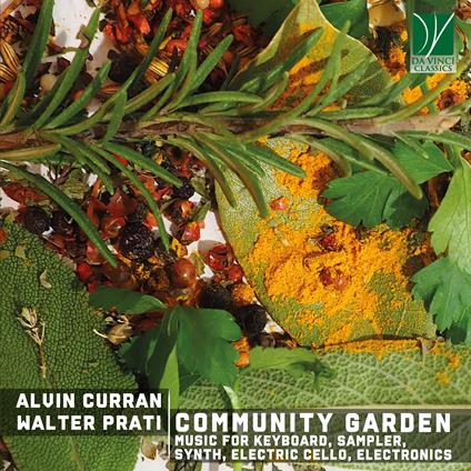 Community Garden. Music For Keyboard - CD Audio di Alvin Curran
