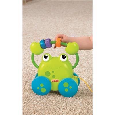 Ranocchio da passeggio - 4