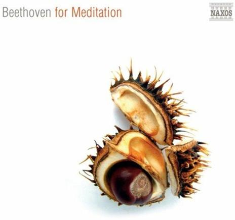 Beethoven for Meditation - CD Audio di Ludwig van Beethoven