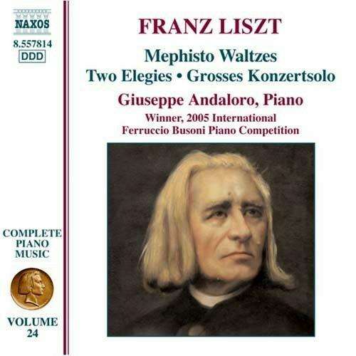 Opere per pianoforte vol.24 - CD Audio di Franz Liszt