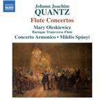 Concerti per flauto, archi e basso continuo - CD Audio di Johann Joachim Quantz