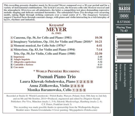 Musica Strumentale - Instrumental Music - CD Audio di Krzysztof Meyer - 2