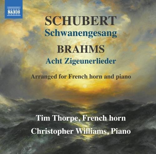 Schwanengesang - CD Audio di Johannes Brahms,Franz Schubert,Christopher Williams
