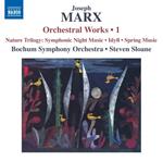 Musica orchestrale completa vol.1