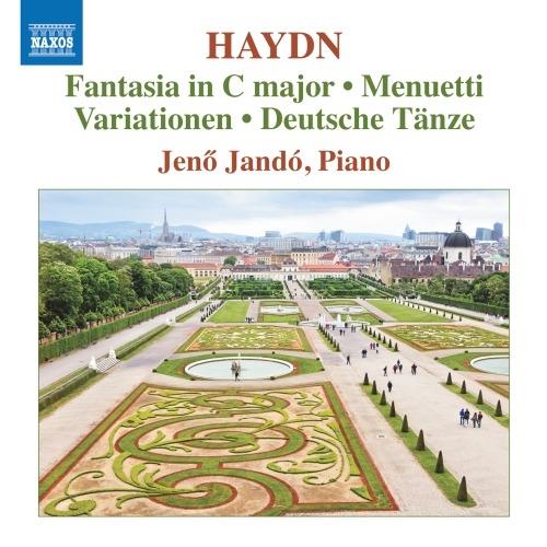 Fantasia - Minuetti - Variazioni - CD Audio di Franz Joseph Haydn,Jeno Jandó