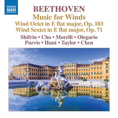 Musica per flauti - CD Audio di Ludwig van Beethoven,David Shifrin