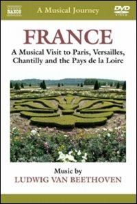 A Music Journey: France, Versailles, Chantilly (DVD) - DVD