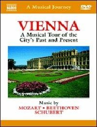 A Musical Journey. Vienna (DVD) - DVD