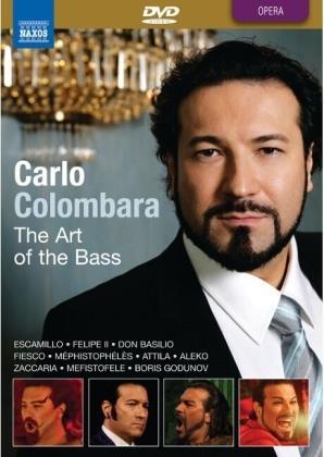 Carlo Colombara. The Art of the Bass (DVD) - DVD di Carlo Colombara
