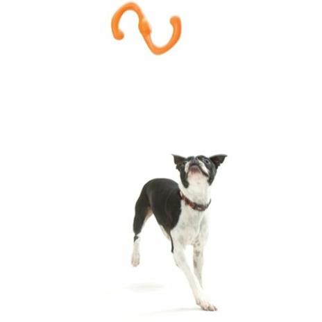Zogoflex Giocattolo da Masticare per Cani Bumi Taglia L Arancione 1947 - 2