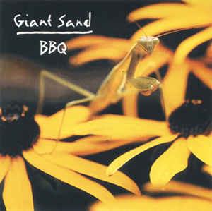 Backyard Barbecue Broadcast - CD Audio di Giant Sand