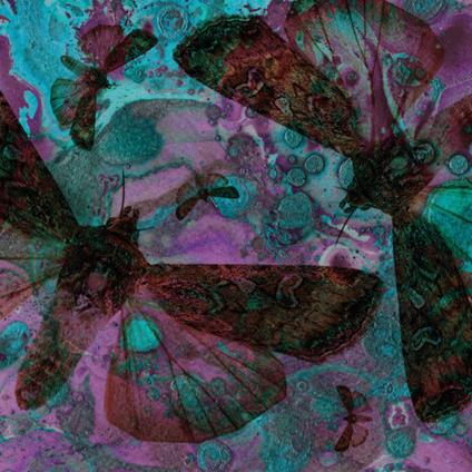 Y Gwyfyn - CD Audio di Gentle Good