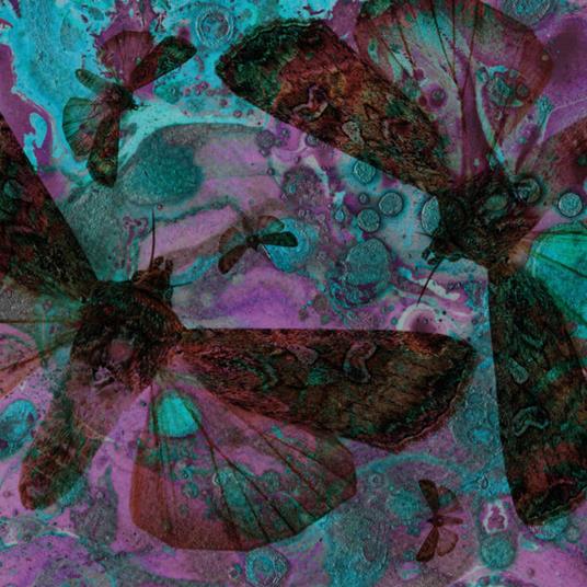 Y Gwyfyn - CD Audio di Gentle Good