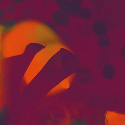 Fields - Spent on You - Vinile LP di Perfect Body,Zac White