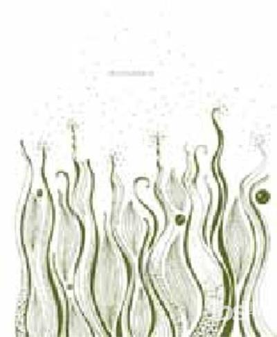 Indecision - Vinile LP di Manatee