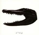 Jinx - CD Audio di Weekend