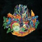 Ears - Vinile LP di Kaitlyn Aurelia Smith