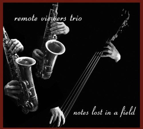 Notes Lost in a Filed - CD Audio di Remote Viewers Trio