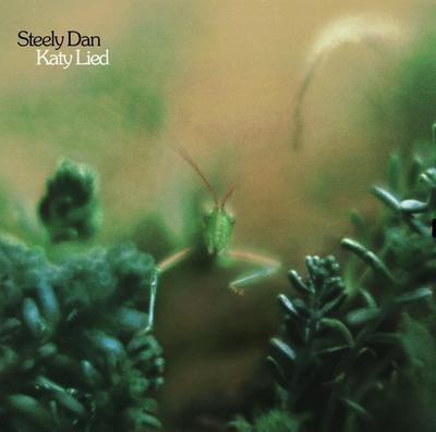 Katy Lied - CD Audio di Steely Dan
