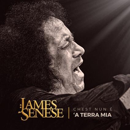 Chesta nun è 'a terra mia - Vinile LP di James Senese