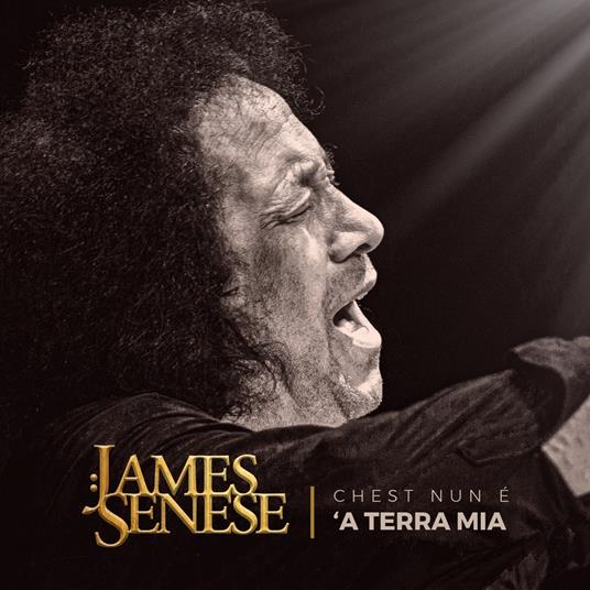 Chesta nun è 'a terra mia - Vinile LP di James Senese