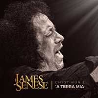CD Chesta nun è 'a terra mia James Senese