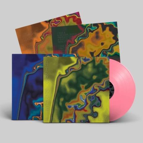 A Fossil Begins to Bray (Pink Coloured Vinyl) - Vinile LP di Hiro Kone - 2