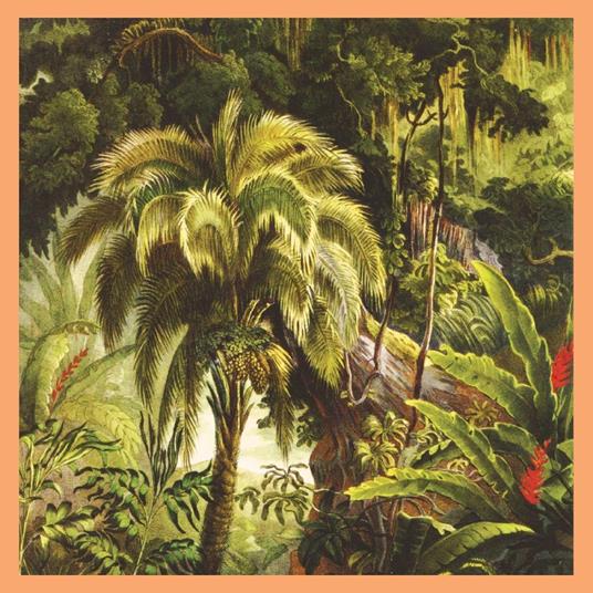 La Foret - Vinile LP di Xiu Xiu