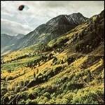 Songs of Shame - CD Audio di Woods