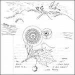 Woods - Amps for Christ - CD Audio di Woods,Amps for Christ