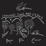 Canyons Cars and Crows - CD Audio di Amps for Christ