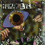 Human Eye