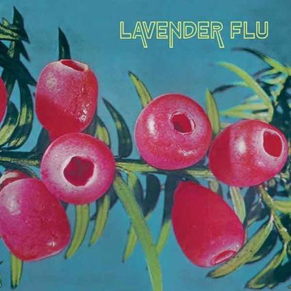 Mow the Glass - CD Audio di Lavender Flu