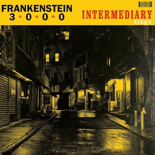 Intermediary Stage - Vinile LP di Frankenstein 3000