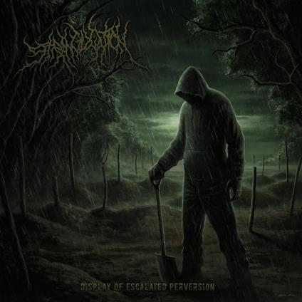Display Of Escalated Perversion - CD Audio di Strangulation
