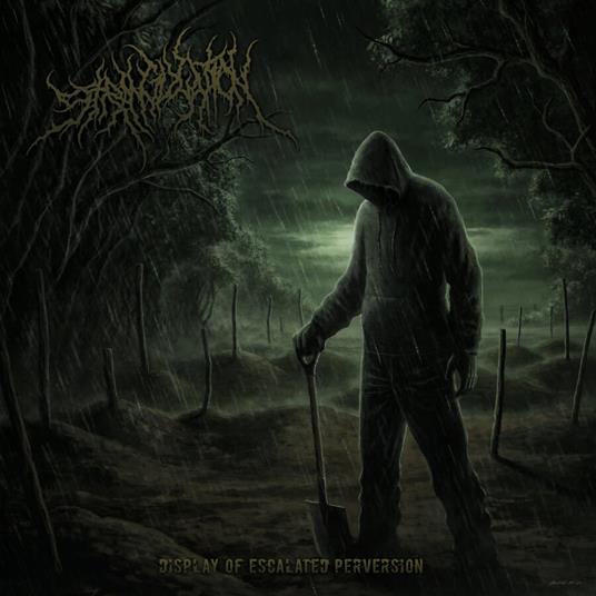 Display Of Escalated Perversion - CD Audio di Strangulation