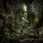 Ominous Flesh Discipline