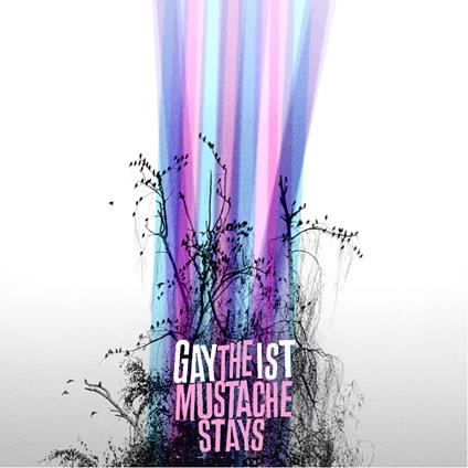 Mustache Stays - CD Audio di Gaytheist