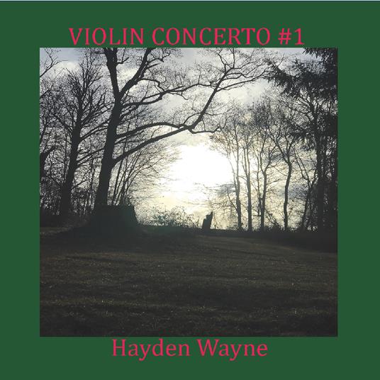 Violin Concerto #1 - CD Audio di Hayden Wayne